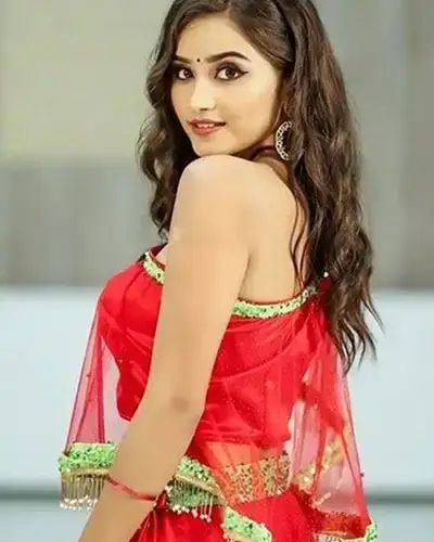 Call Girls Service Mettur